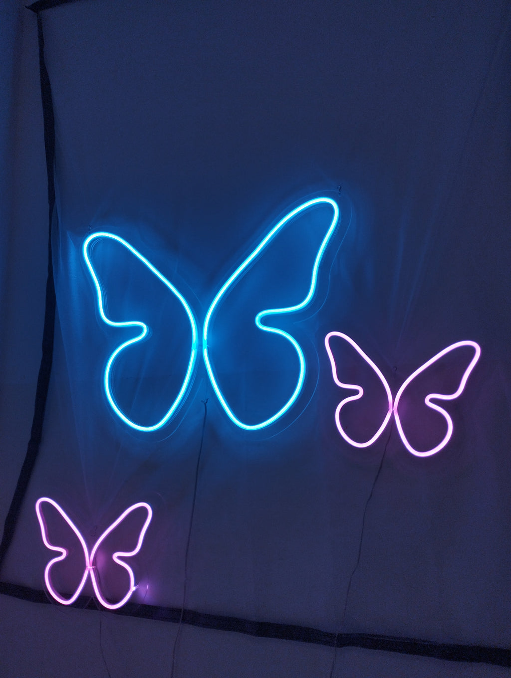 Papillon
